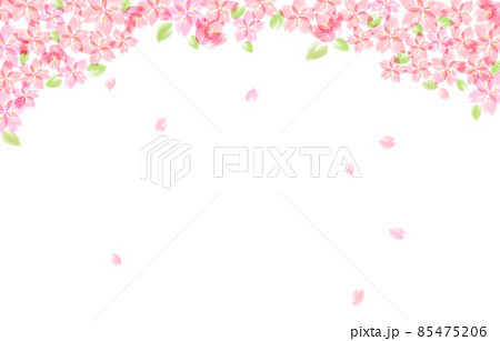 葉桜のイラスト素材