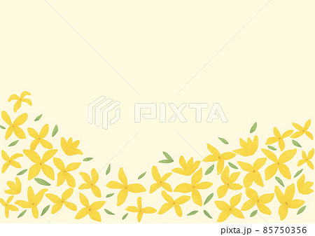 개나리 꽃 일러스트 - Pixta