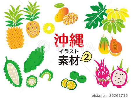 シークワーサーのイラスト素材 シークワーサーのイラスト素材