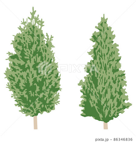 庭木剪定のイラスト素材