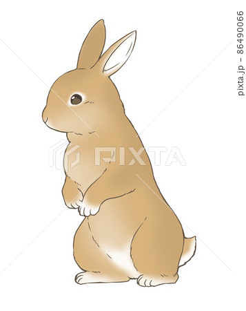うさぎ かわいい 横顔 ウサギのイラスト素材