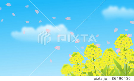 菜の花畑のイラスト素材