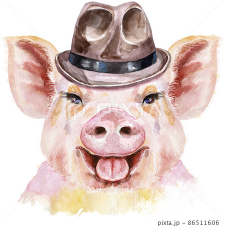 豚正面の写真素材