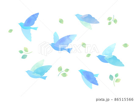 羽ばたく 鳥のイラスト素材