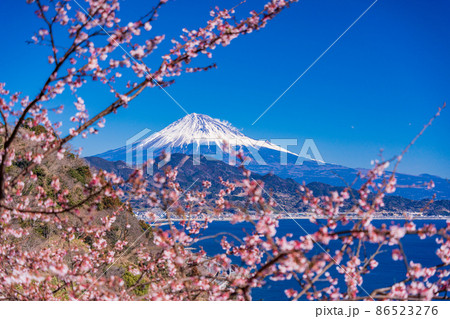 五街道の写真素材