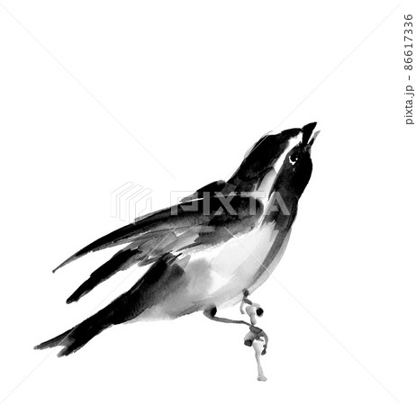 鳥 小鳥 水墨画 イラストの写真素材 - PIXTA