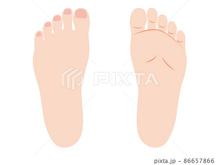 左足の写真素材 - PIXTA