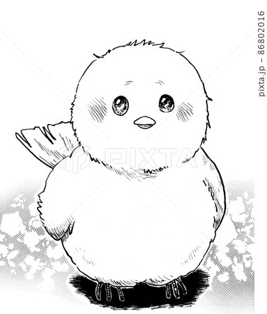 白黒鳥のイラスト素材