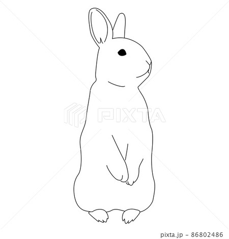 うさぎ 動物 ウサギ リアルのイラスト素材 うさぎ 動物 ウサギ リアルのイラスト素材