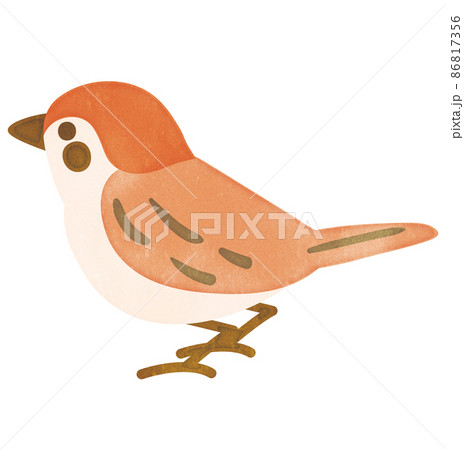 雀のイラスト素材