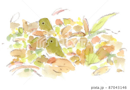 春夏渡り鳥十ニ選　野鳥　原画　水彩画　鳥　イラスト　メジロ　オオルリ　セキレイ他 春夏渡り鳥十ニ選 野鳥 原画 水彩画 鳥 イラスト メジロ