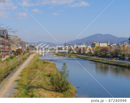 赤サギの写真素材