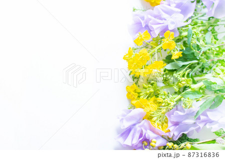 フラワーアレンジメント 菜の花 生け花 白バック かわいいの写真素材