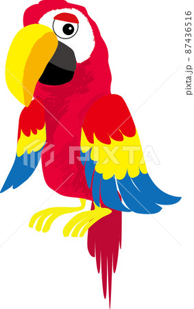 インコ オウムのイラスト素材集 ピクスタ