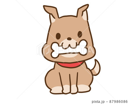 動物 犬 子犬 柴犬のイラスト素材