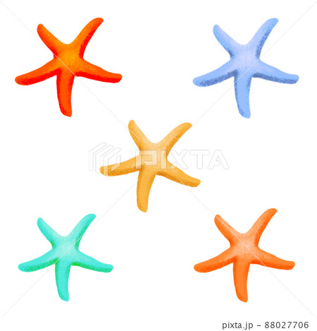 ヒトデ ウニ ナマコのイラスト素材集 ピクスタ