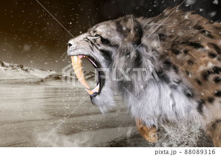 吠えているのイラスト素材