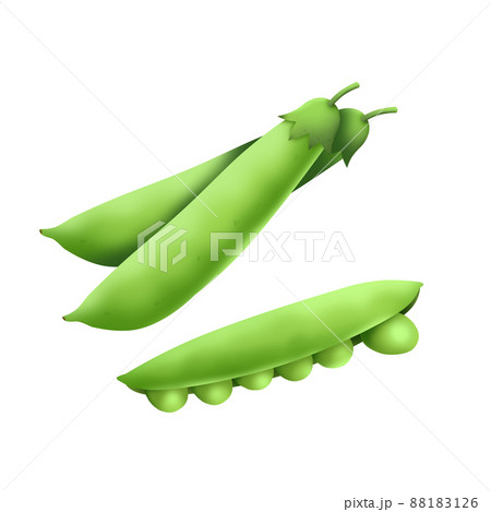 えんどう豆のイラスト素材