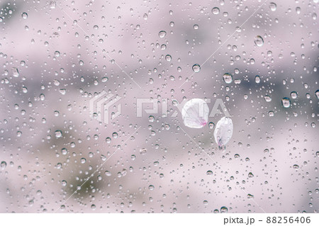 水滴 ガラス 初夏 雨の写真素材