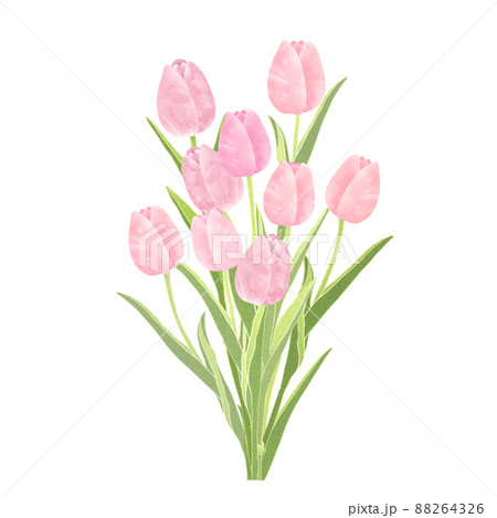 【原画販売】チューリップのブーケ　水彩画 透明水彩画「チューリップの花束」イラスト ミニ額 春 花 プチ