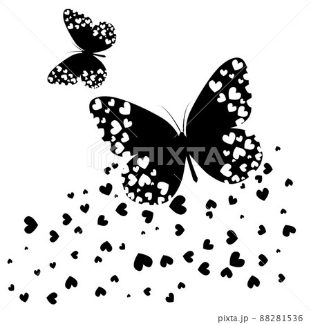 花 蝶 イラスト 白黒の写真素材