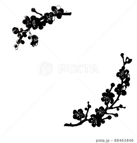 梅 梅の花 墨絵 水墨画の写真素材 - PIXTA 梅 梅の花 墨絵 水墨画の写真素材 - PIXTA