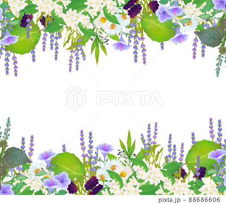 ラベンダー 花 イラスト かわいいのイラスト素材