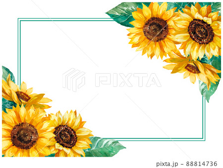 ひまわり様　ラブブ　専用枠 ひまわり様 ラブブ 専用枠 ひまわり | TUBE | ソニーミュージック