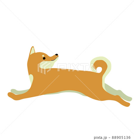 柴犬 走る 犬 日本犬のイラスト素材 柴犬 走る 犬 日本犬のイラスト素材