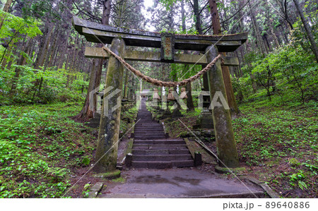 神秘的神社の写真素材