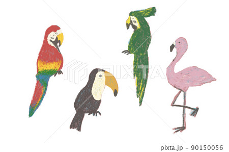 インコ オウムのイラスト素材集 ピクスタ