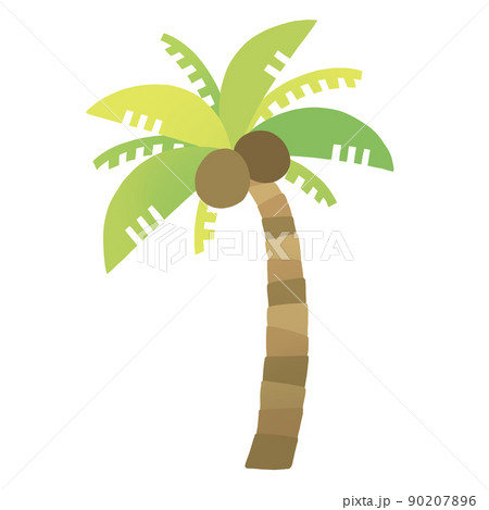 ヤシ ヤシの木 アイコン 植物のイラスト素材