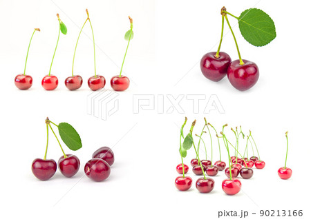 サクランボ さくらんぼ チェリー 葉っぱの写真素材