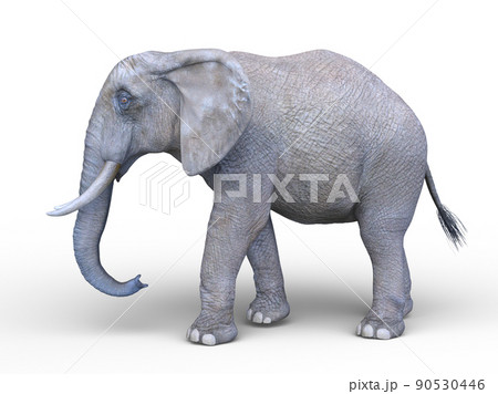 アフリカゾウのイラスト素材