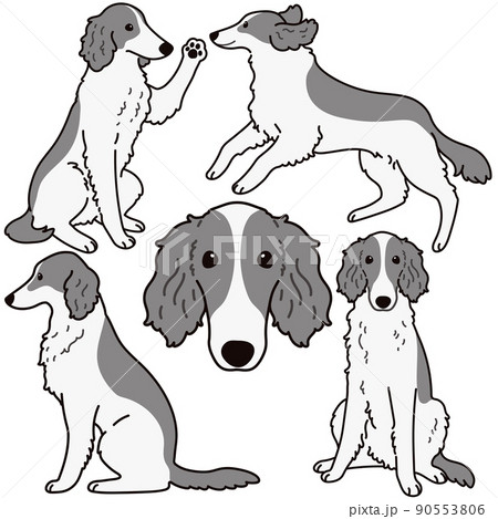 イラスト 動物 犬 走るの写真素材