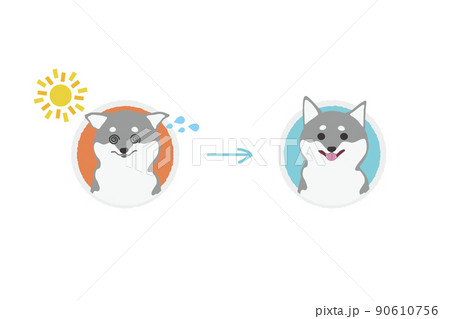 黒柴のイラスト素材