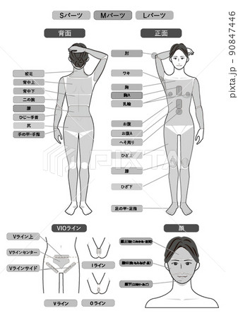 Smlのイラスト素材