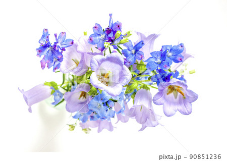 Watercolor Blue Bellflowers. Hand drawn illustration of Bluebell