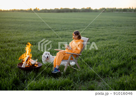 椅子に座る犬の写真素材