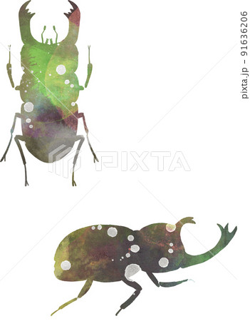 クワガタ かわいいのイラスト素材
