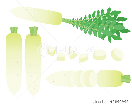 大根のイラスト素材集 ピクスタ