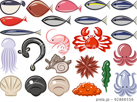 海水魚 海の魚 のベクター素材集 ピクスタ