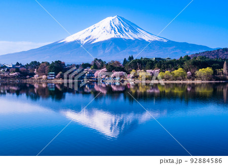 富士山 逆さ富士 春 桜の写真素材 - PIXTA