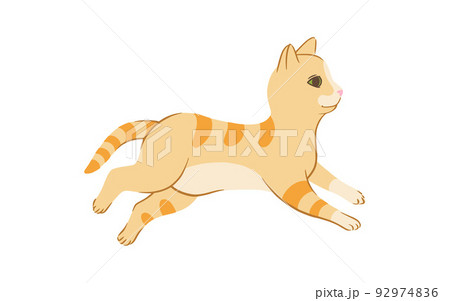 眠り猫のイラスト素材