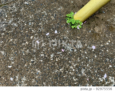 支線ガードの写真素材