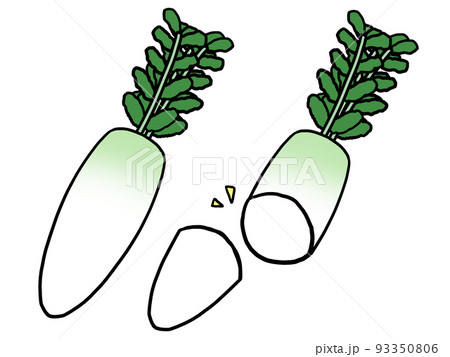 大根のイラスト素材集 ピクスタ 大根のイラスト素材集 ピクスタ