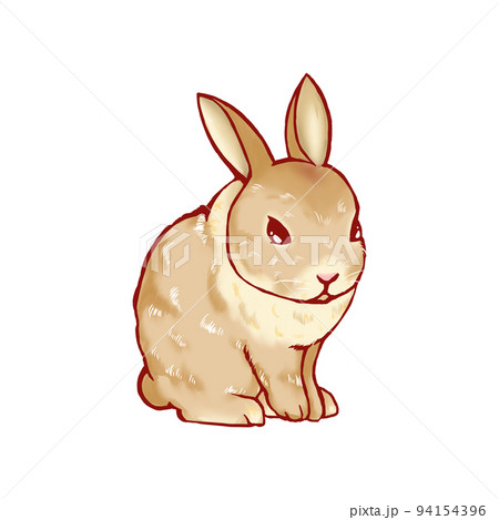 うさぎ 動物 ウサギ リアルのイラスト素材