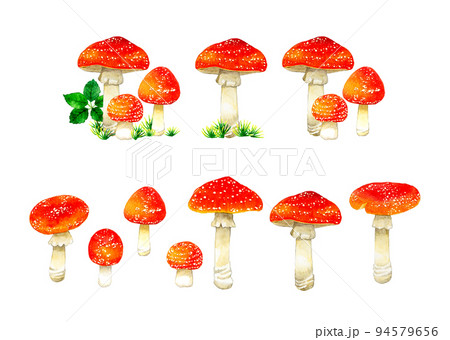 ベニテングタケ かわいいの写真素材