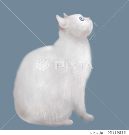 動物 猫 イラスト 横顔の写真素材 動物 猫 イラスト 横顔の写真素材