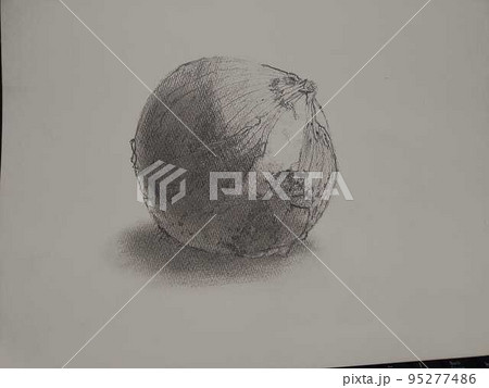 玉ねぎの鉛筆画 静物画玉ねぎ デッサン】玉ねぎを描く【初心者でも簡単!】 - BOBIN